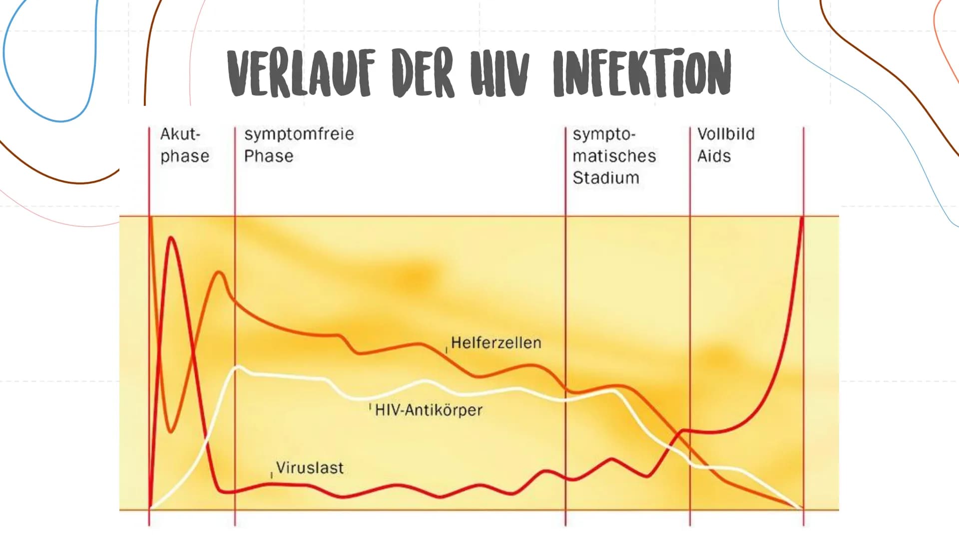 AIDS/ HIV
Ursachen, Verlauf, Behandlung URSACHEN DER HIV INFEKTION
Übertragung über Körperflüssigkeiten (Blut, Sperma...)
direkter Kontakt m