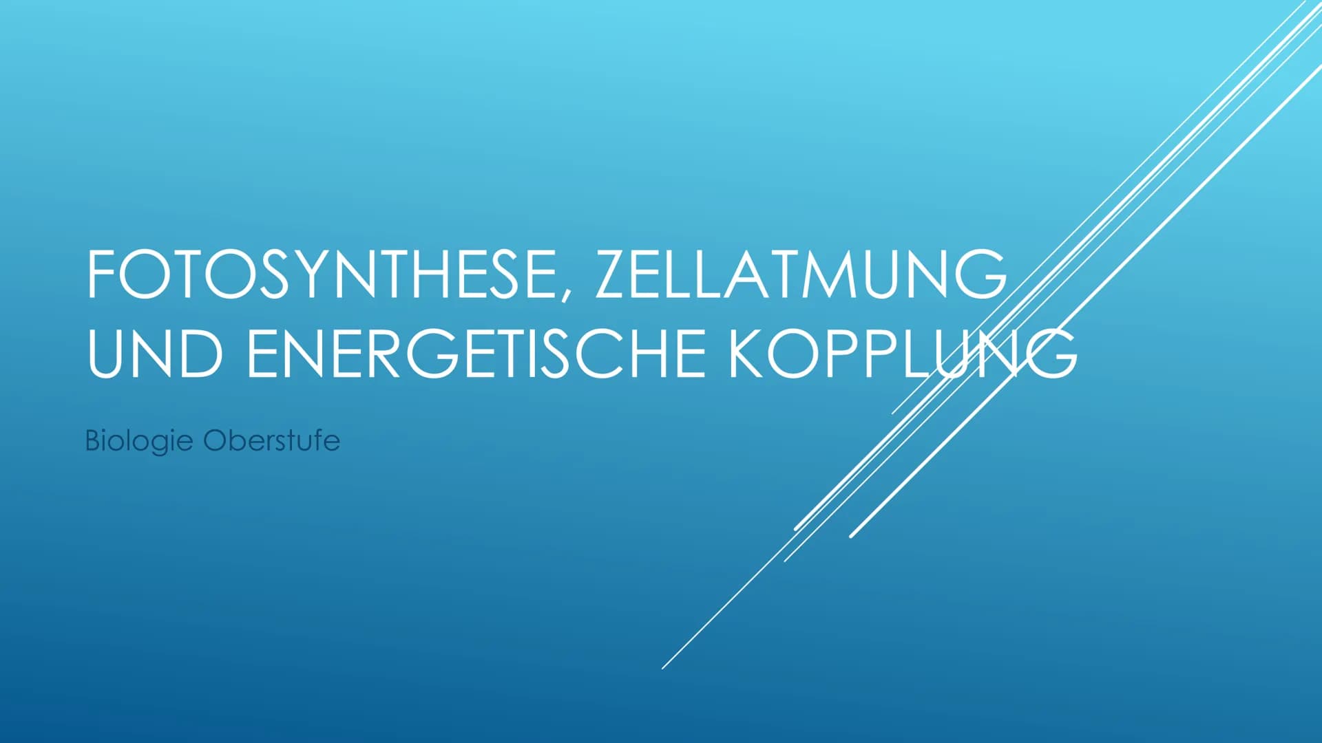 Fotosynthese:
Die Fotosynthese bildet die Grundlage aller Stoffwechselreaktionen auf der Erde. Aus den anorganischen
Molekülen H₂0 und CO₂ s