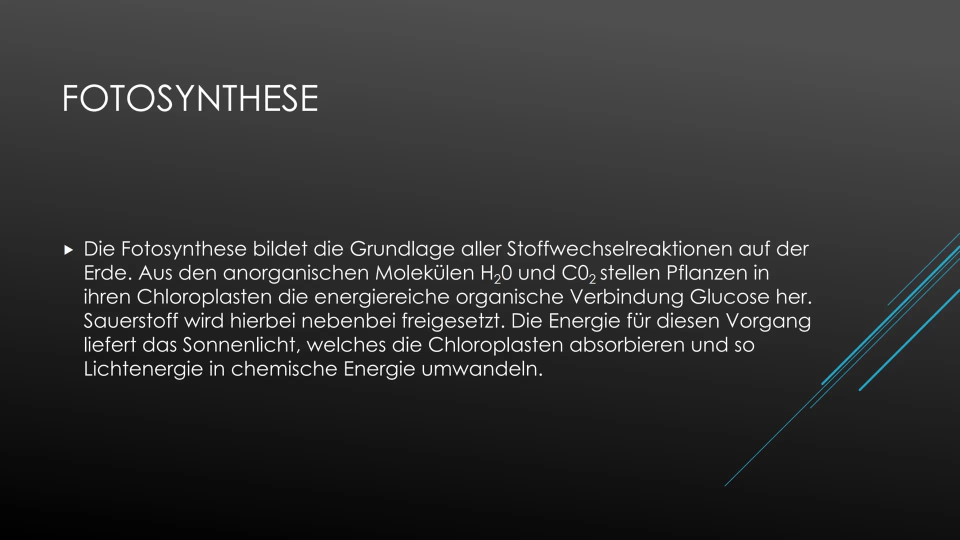 Fotosynthese:
Die Fotosynthese bildet die Grundlage aller Stoffwechselreaktionen auf der Erde. Aus den anorganischen
Molekülen H₂0 und CO₂ s