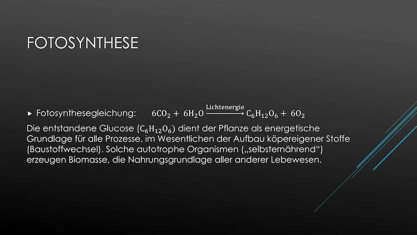 Fotosynthese:
Die Fotosynthese bildet die Grundlage aller Stoffwechselreaktionen auf der Erde. Aus den anorganischen
Molekülen H₂0 und CO₂ s