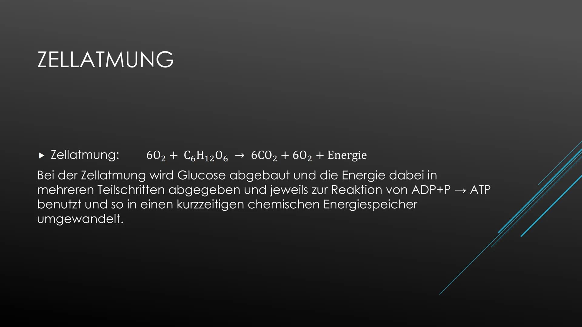 Fotosynthese:
Die Fotosynthese bildet die Grundlage aller Stoffwechselreaktionen auf der Erde. Aus den anorganischen
Molekülen H₂0 und CO₂ s