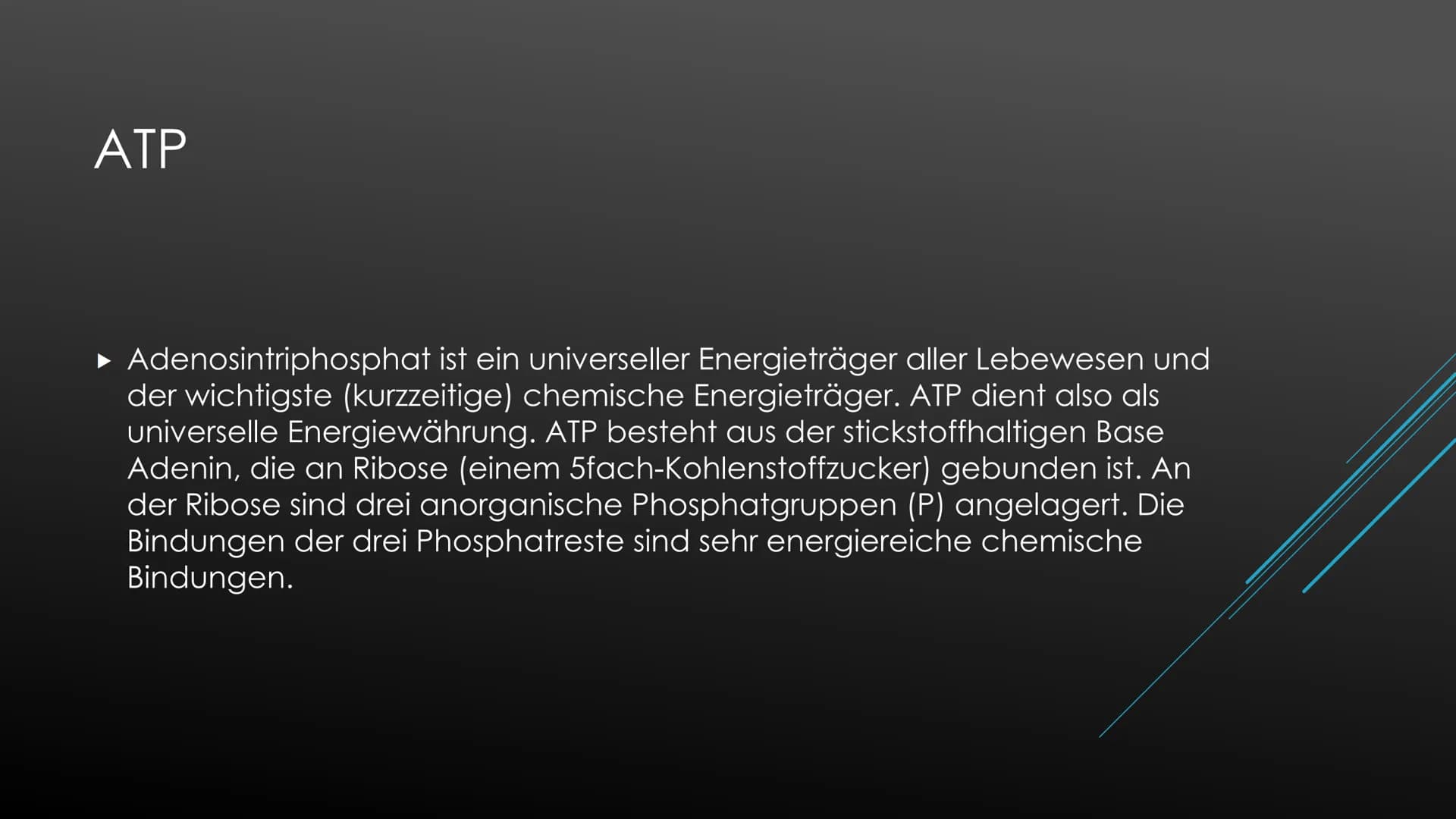Fotosynthese:
Die Fotosynthese bildet die Grundlage aller Stoffwechselreaktionen auf der Erde. Aus den anorganischen
Molekülen H₂0 und CO₂ s