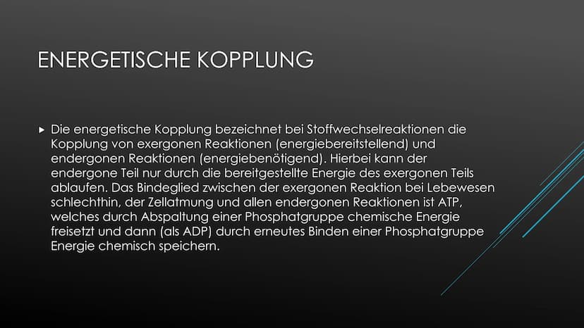 Fotosynthese:
Die Fotosynthese bildet die Grundlage aller Stoffwechselreaktionen auf der Erde. Aus den anorganischen
Molekülen H₂0 und CO₂ s