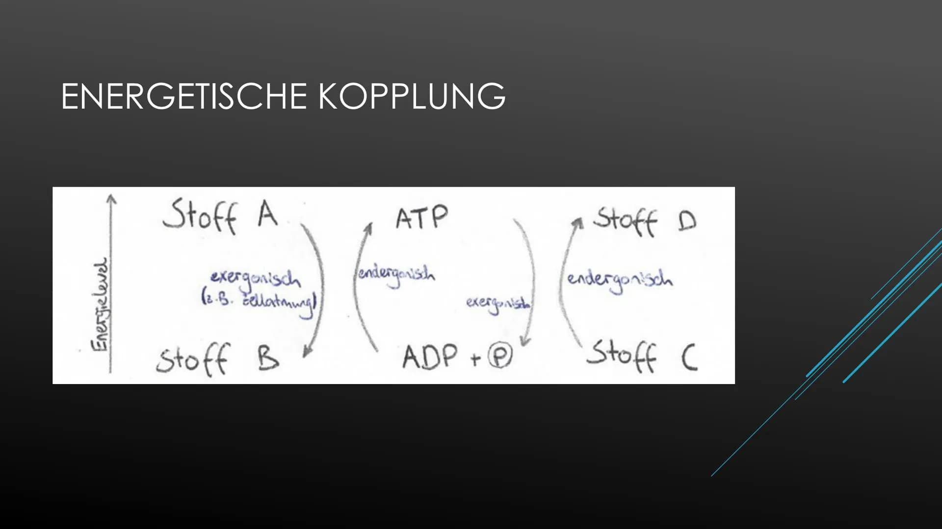 Fotosynthese:
Die Fotosynthese bildet die Grundlage aller Stoffwechselreaktionen auf der Erde. Aus den anorganischen
Molekülen H₂0 und CO₂ s