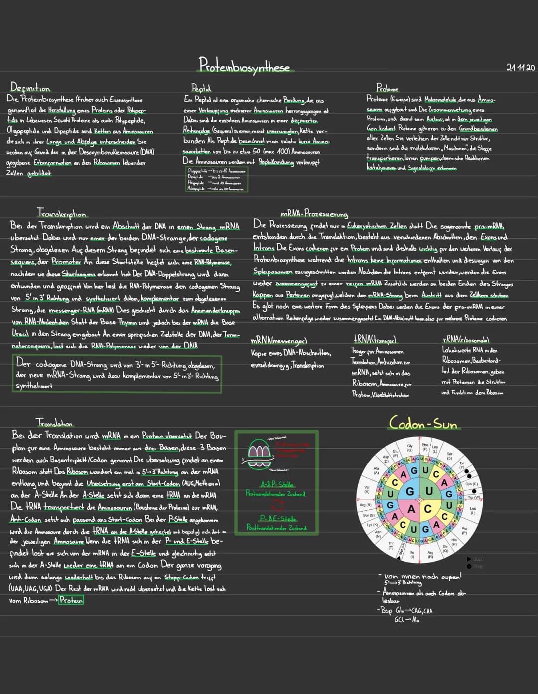 Definition
Die Proteinbiosynthese (Früher auch Eiweissynthese
genannt ist die Herstellung emes Proteins oder Polypep-
tids in Lebewesen Sowo
