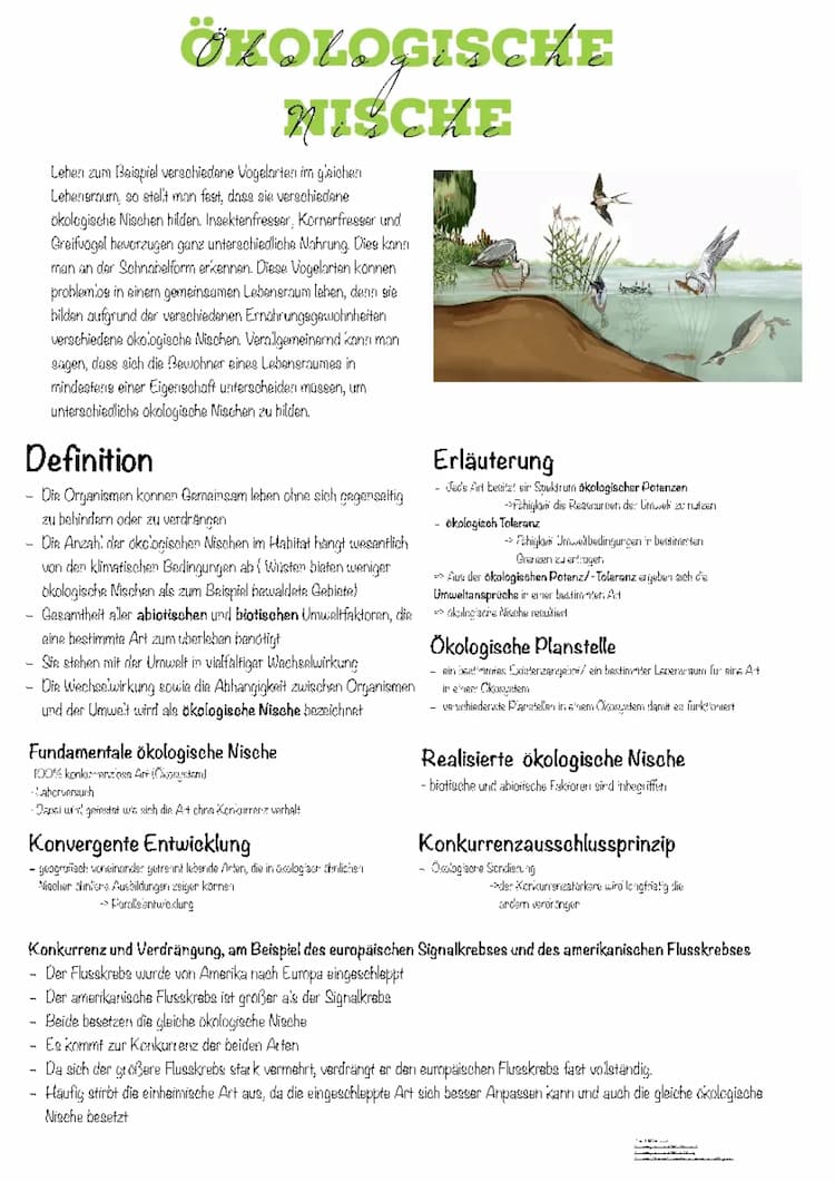 Know Ökologische  Nische  thumbnail