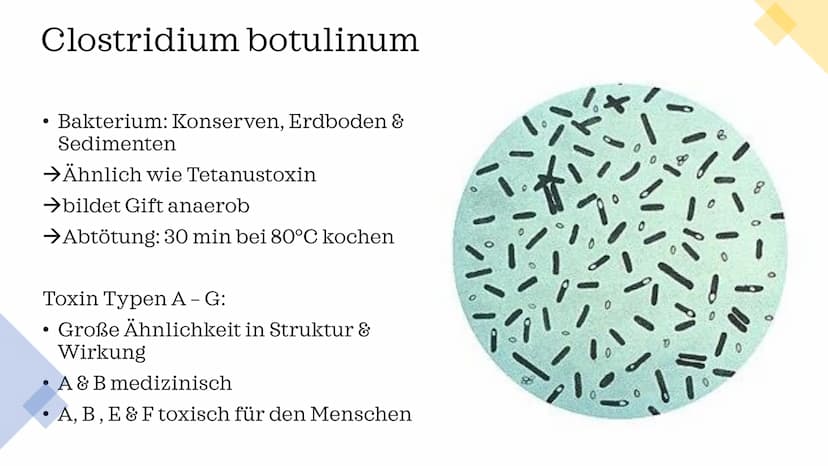 Botox
vom Gift zur
Faltenspritze Gliederung
Wirkstoff
Fallbeispiel
Geschichte
Wirkung
Verwendung &
Nutzen
Fun Facts BOTOX
0.9
10
ml
9.8
0.6
