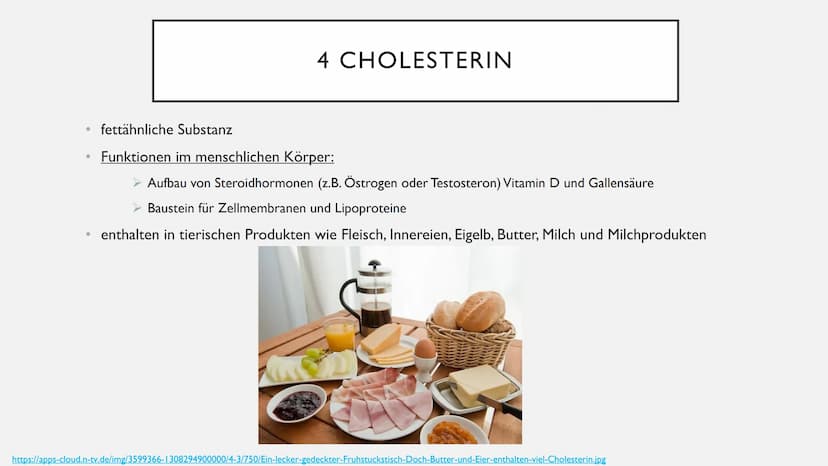 FETTE GLIEDERUNG
• I Allgemeines
2 Aufgaben der Fette
3 Unterteilung der Fettsäuren
• 3.1 gesättigte Fettsäuren
3.2 ungesättigte Fettsäuren

