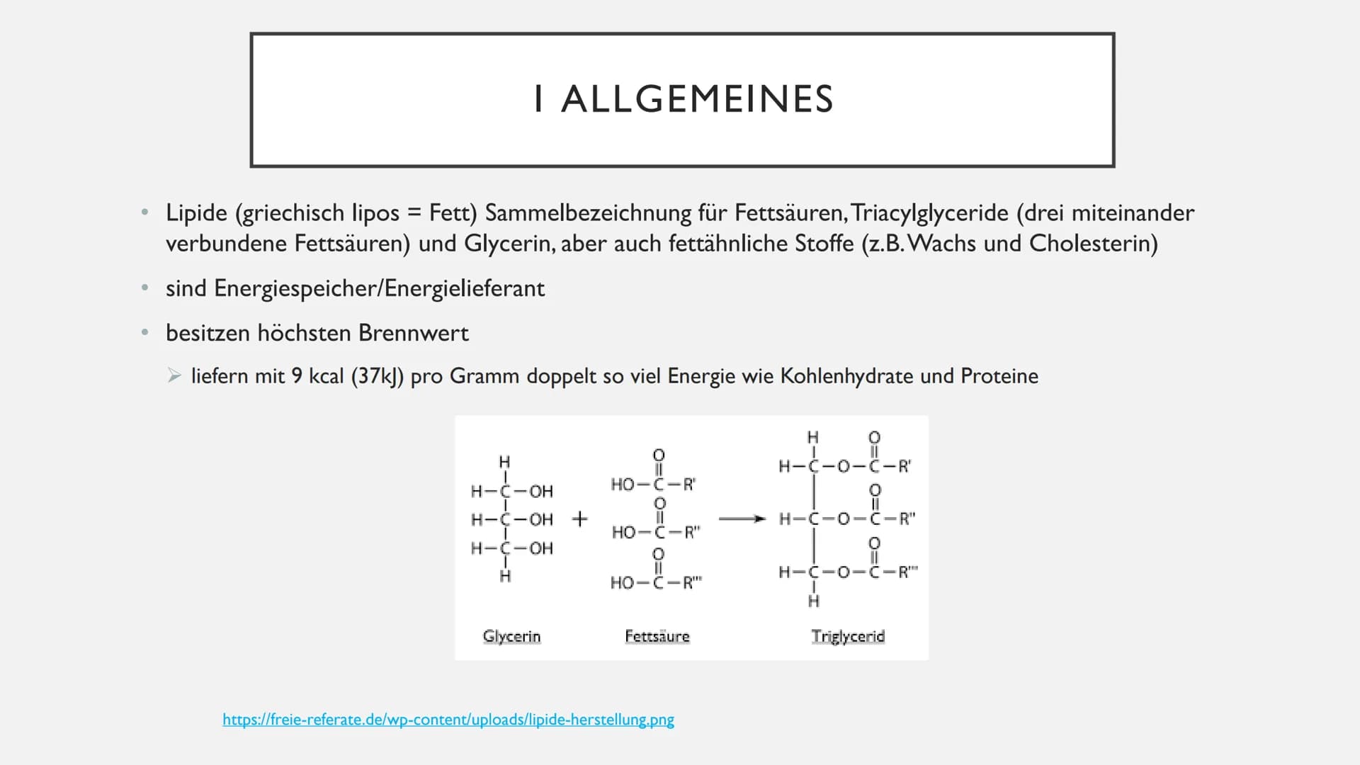 FETTE GLIEDERUNG
• I Allgemeines
2 Aufgaben der Fette
3 Unterteilung der Fettsäuren
• 3.1 gesättigte Fettsäuren
3.2 ungesättigte Fettsäuren
