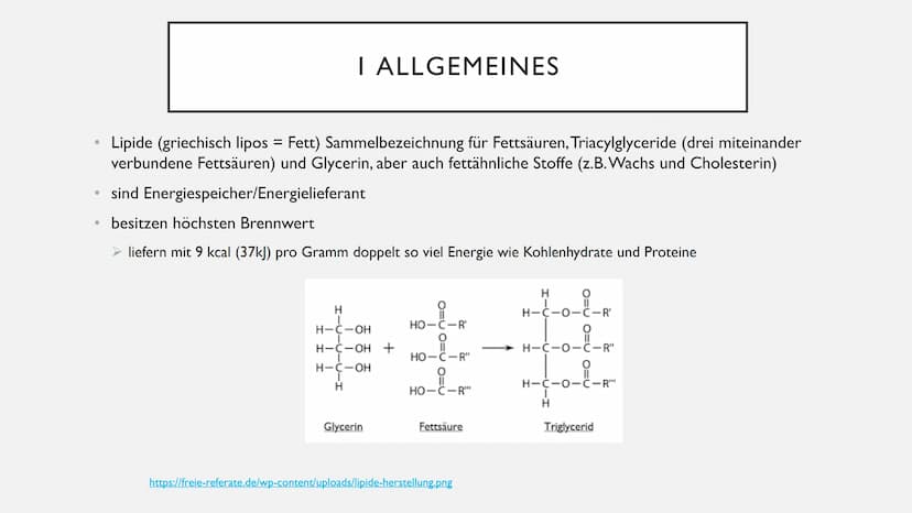 FETTE GLIEDERUNG
• I Allgemeines
2 Aufgaben der Fette
3 Unterteilung der Fettsäuren
• 3.1 gesättigte Fettsäuren
3.2 ungesättigte Fettsäuren
