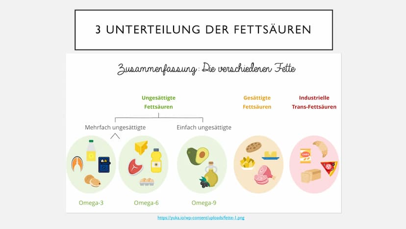 FETTE GLIEDERUNG
• I Allgemeines
2 Aufgaben der Fette
3 Unterteilung der Fettsäuren
• 3.1 gesättigte Fettsäuren
3.2 ungesättigte Fettsäuren
