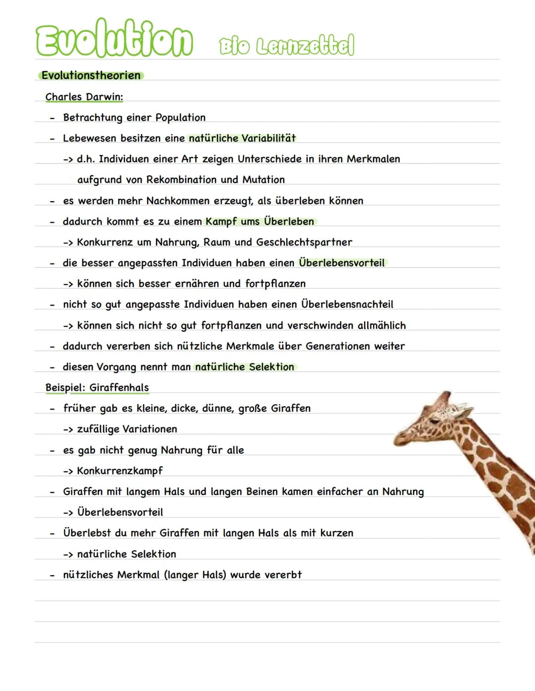 Evolution Bio Lernzekkel
Evolutionstheorien
Charles Darwin:
Betrachtung einer Population
Lebewesen besitzen eine natürliche Variabilität
-> 
