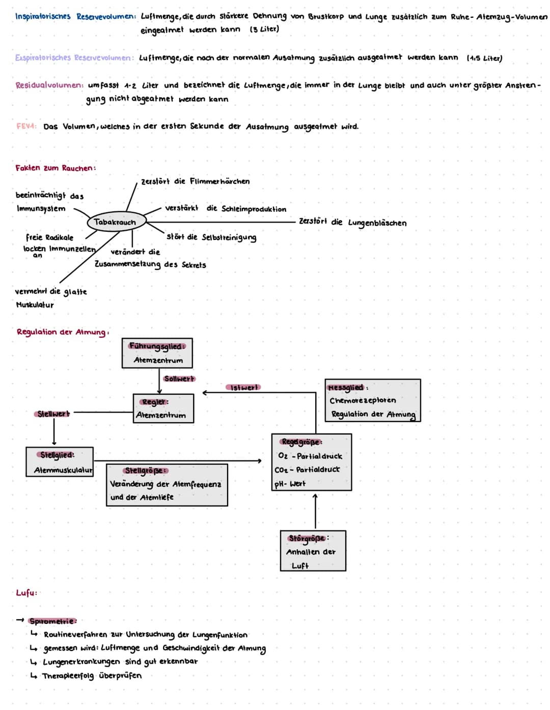 Die Atmungsorgane:
cavitas nasi
Nasenhöhle
bronchus principalis dexter
rechten Hauptbronchien
Pharynx
Rachen
lobus superior dexter
rechter O
