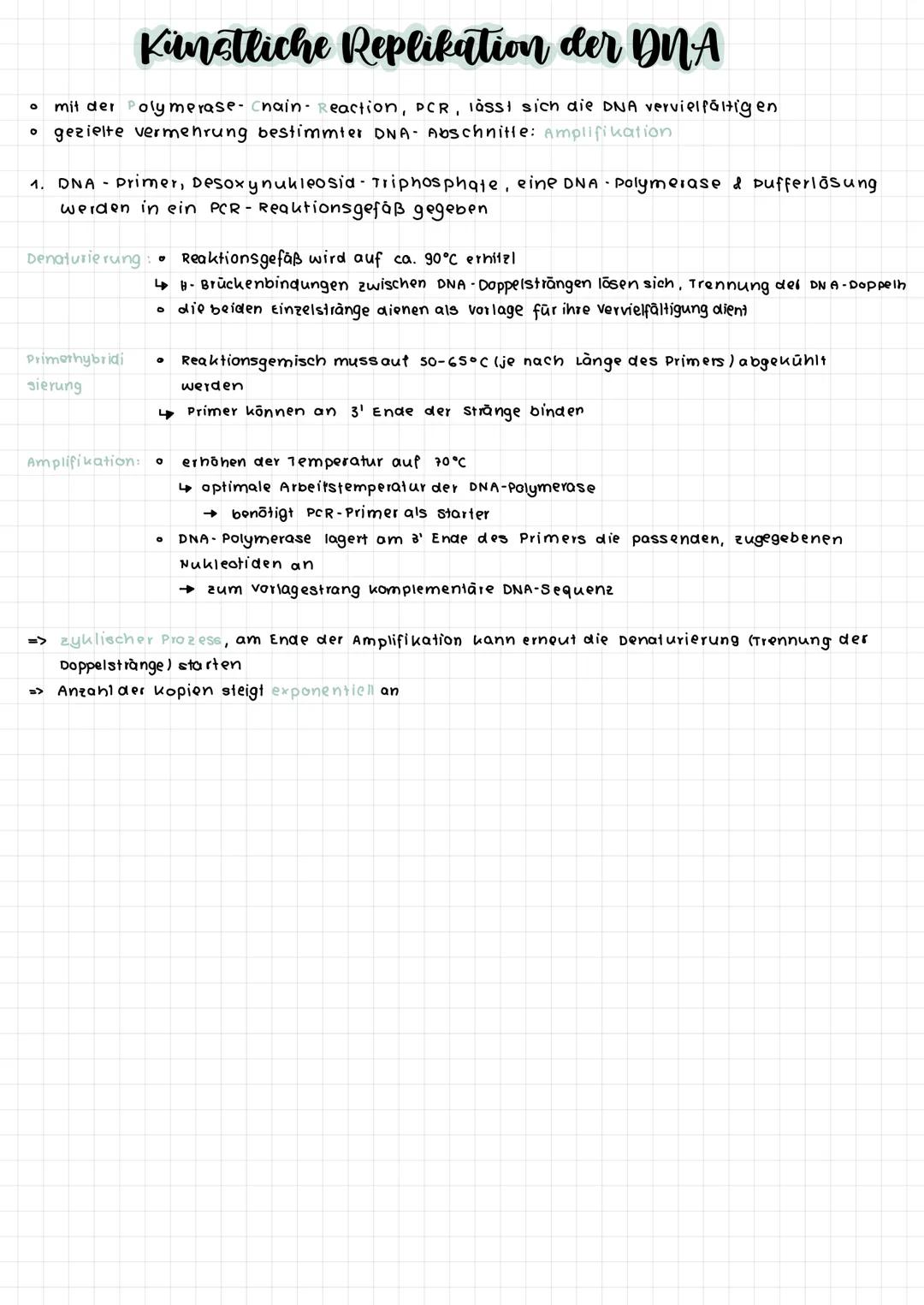 komplementare Basenpaare (auf stickstoff basis)
Phosphat-
Desoxy -
ribose -
Rückgrat
Adenin
O
O=P-0
OH
DNA :
RNA :
Raumstruktur der DNA
Guan