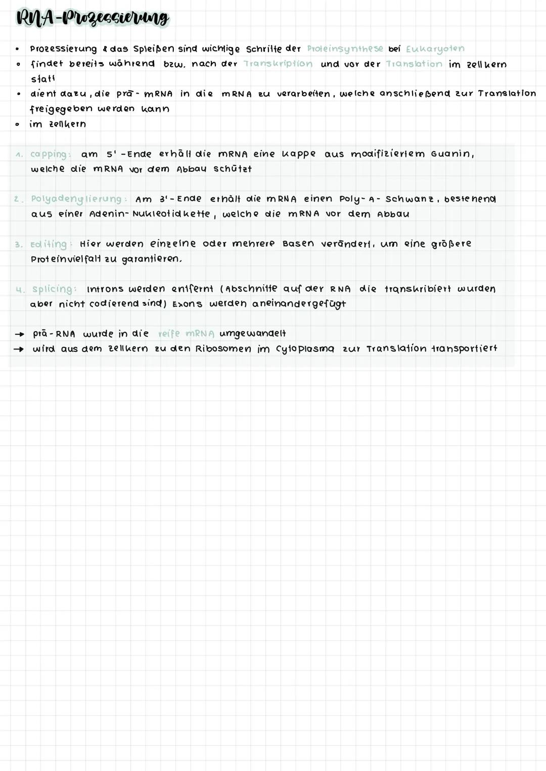 komplementare Basenpaare (auf stickstoff basis)
Phosphat-
Desoxy -
ribose -
Rückgrat
Adenin
O
O=P-0
OH
DNA :
RNA :
Raumstruktur der DNA
Guan