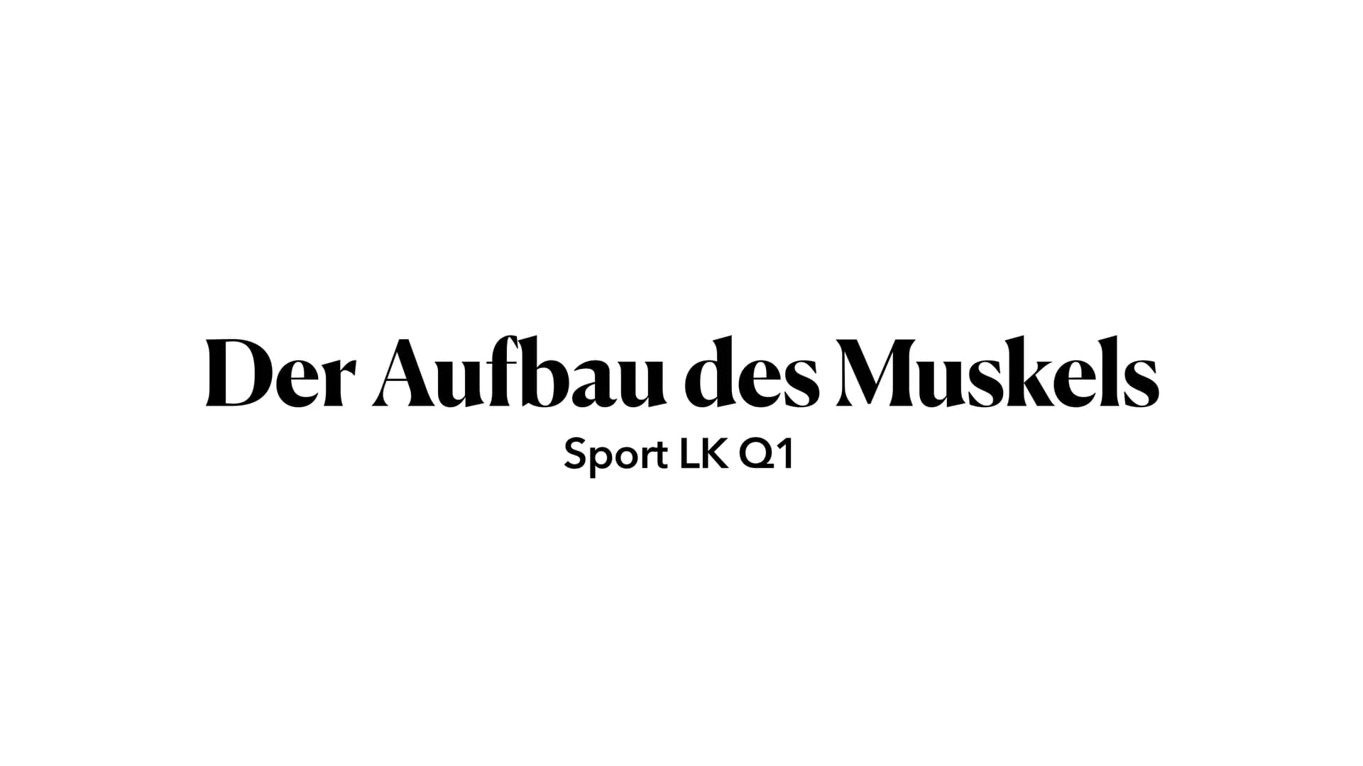 Allgemeines
- insgesamt 656 Muskeln im Körper
- bei Männern 37-57% der gesamten Körpermasse
- bei Frauen 27-43% der gesamten Körpermasse
- d