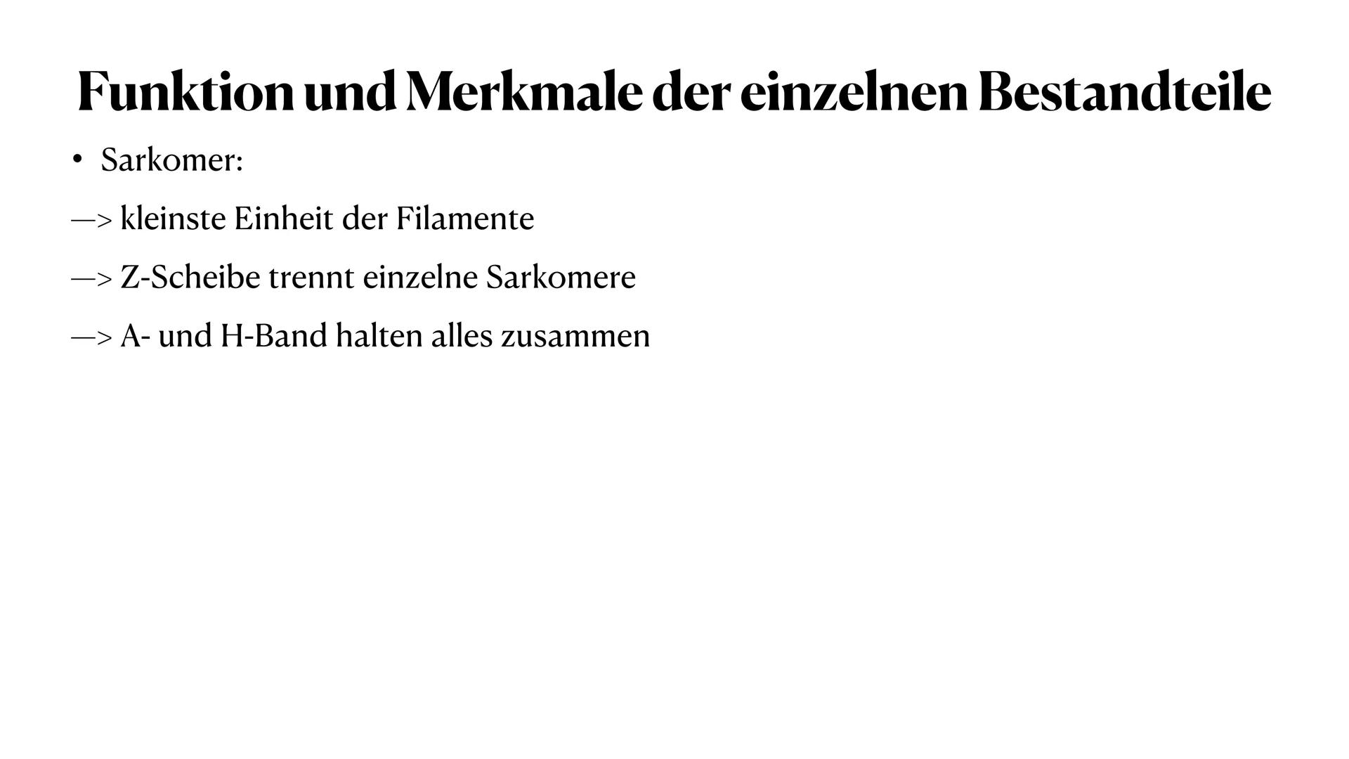 Allgemeines
- insgesamt 656 Muskeln im Körper
- bei Männern 37-57% der gesamten Körpermasse
- bei Frauen 27-43% der gesamten Körpermasse
- d