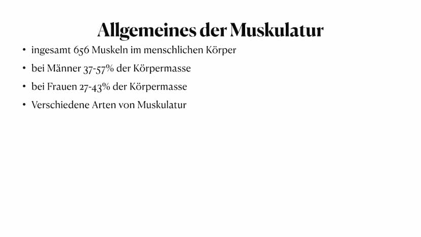 Allgemeines
- insgesamt 656 Muskeln im Körper
- bei Männern 37-57% der gesamten Körpermasse
- bei Frauen 27-43% der gesamten Körpermasse
- d