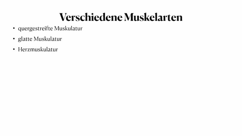 Allgemeines
- insgesamt 656 Muskeln im Körper
- bei Männern 37-57% der gesamten Körpermasse
- bei Frauen 27-43% der gesamten Körpermasse
- d