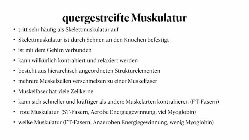 Allgemeines
- insgesamt 656 Muskeln im Körper
- bei Männern 37-57% der gesamten Körpermasse
- bei Frauen 27-43% der gesamten Körpermasse
- d