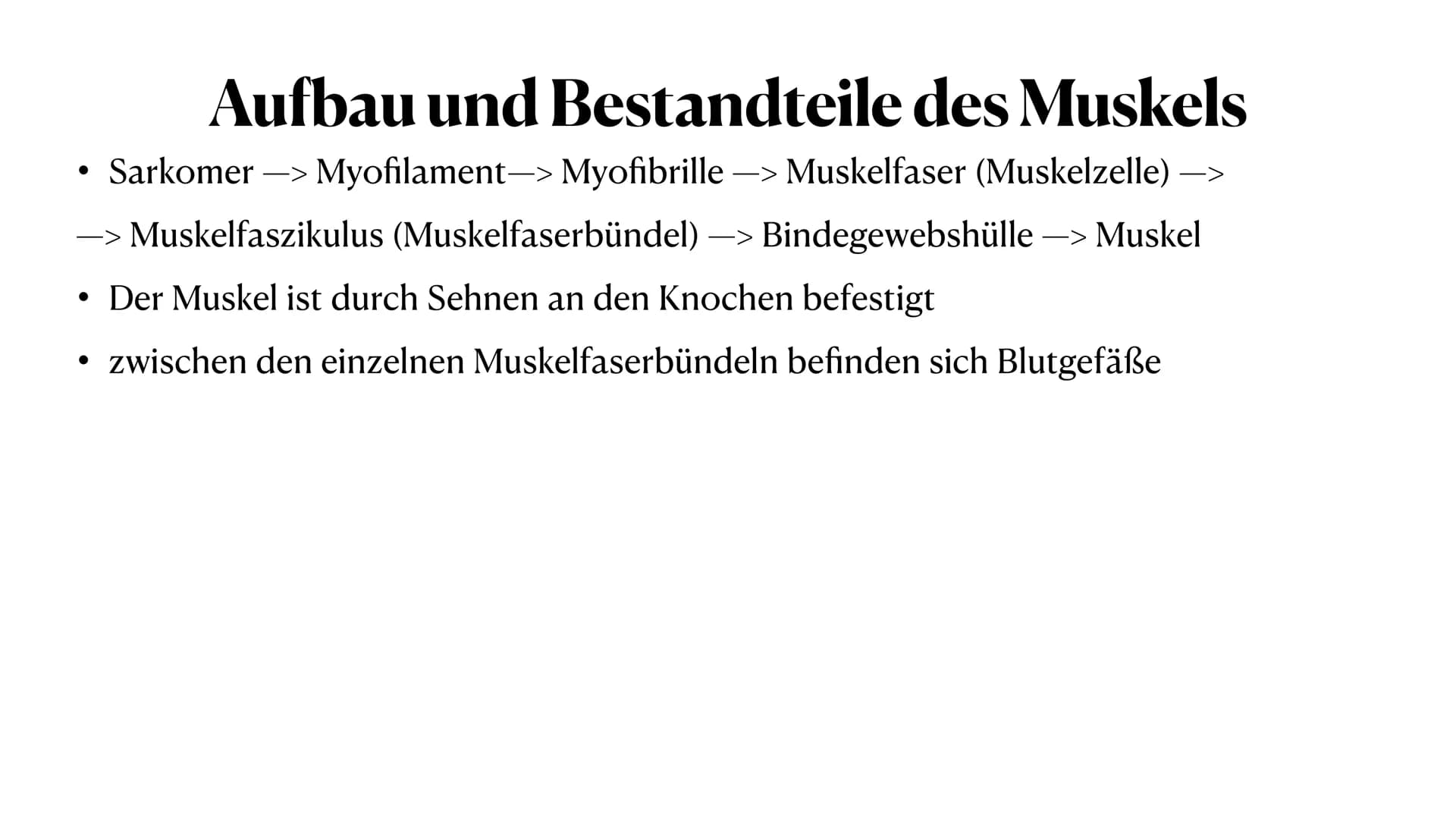 Allgemeines
- insgesamt 656 Muskeln im Körper
- bei Männern 37-57% der gesamten Körpermasse
- bei Frauen 27-43% der gesamten Körpermasse
- d