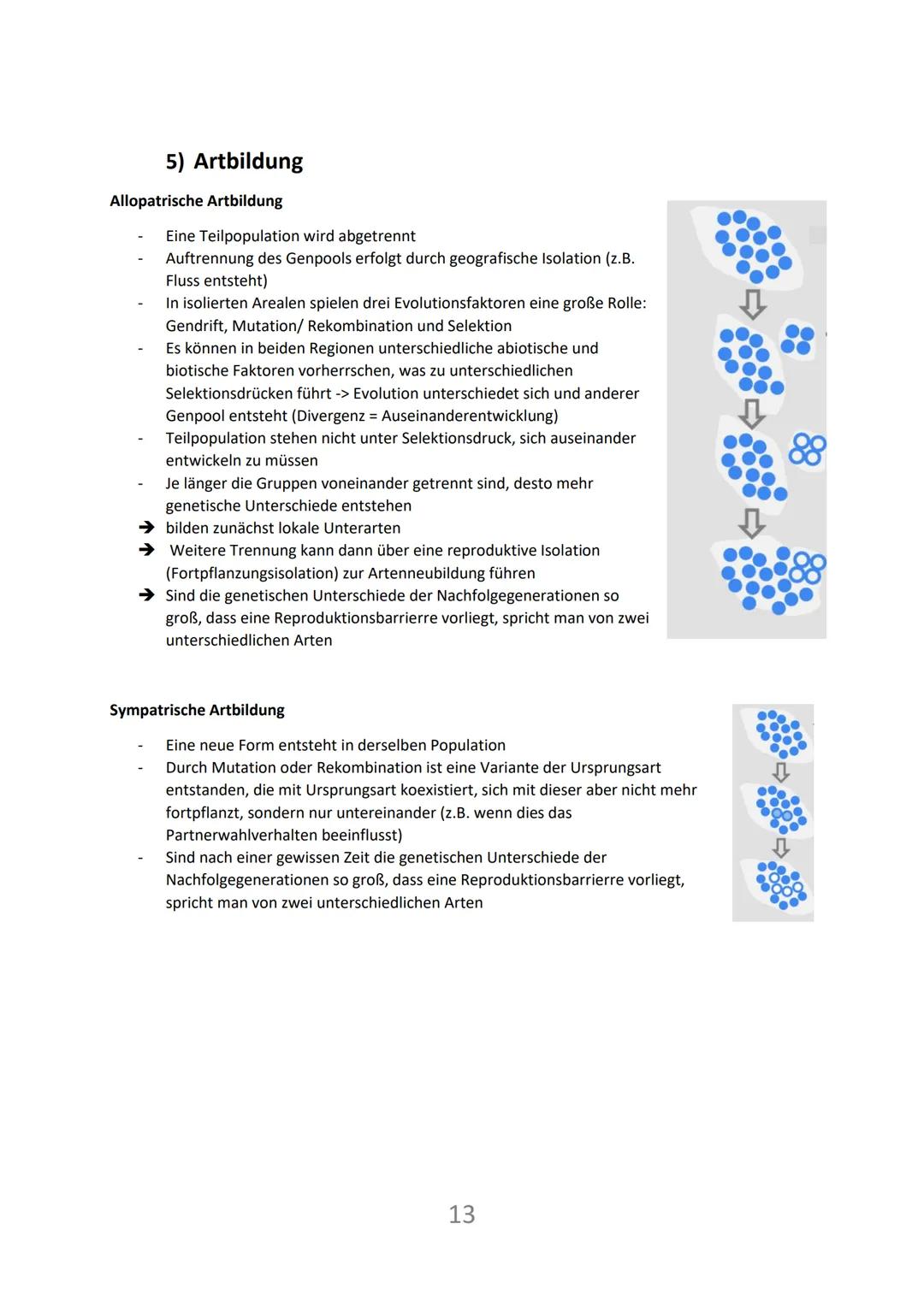 Biologie: (50% Klausur) Evolution
1) Evolutionstheorien
Carl von Linne (1707-1778)
schwedischer Naturforscher und Mediziner
vertrat die Lehr