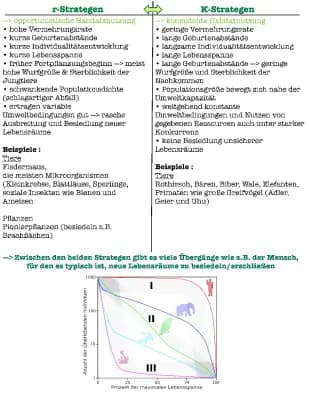 Know Ökologie : Vergleich r- und k-Strategen thumbnail