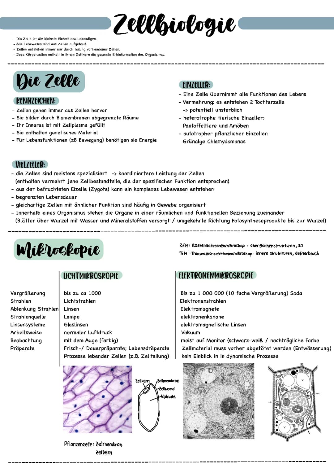 Zellbiologie