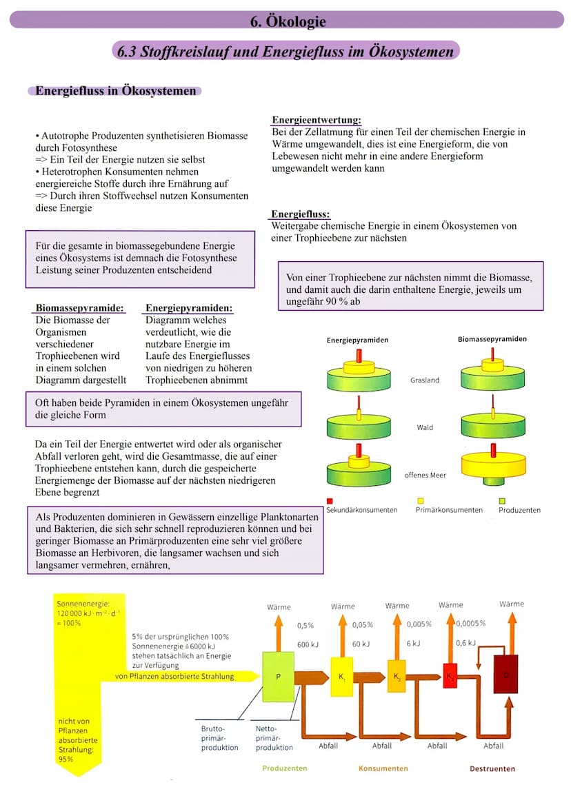 Stoffkreislauf in Ökosystemen
www
CO, in der Atmosphäre
Konsumenten]|
höherer Stufe
6. Ökologie
6.3 Stoffkreislauf und Energiefluss im Ökosy