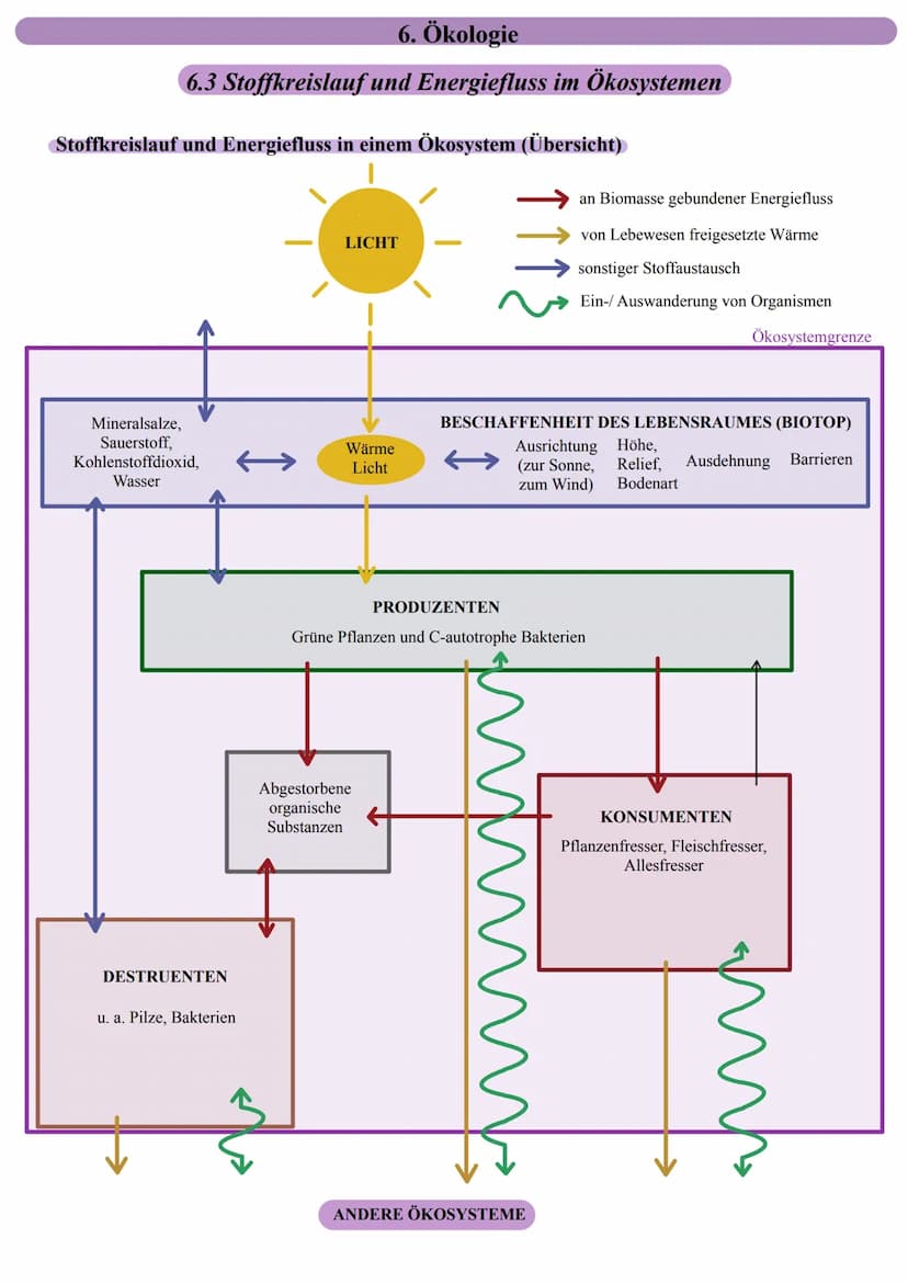 Stoffkreislauf in Ökosystemen
www
CO, in der Atmosphäre
Konsumenten]|
höherer Stufe
6. Ökologie
6.3 Stoffkreislauf und Energiefluss im Ökosy