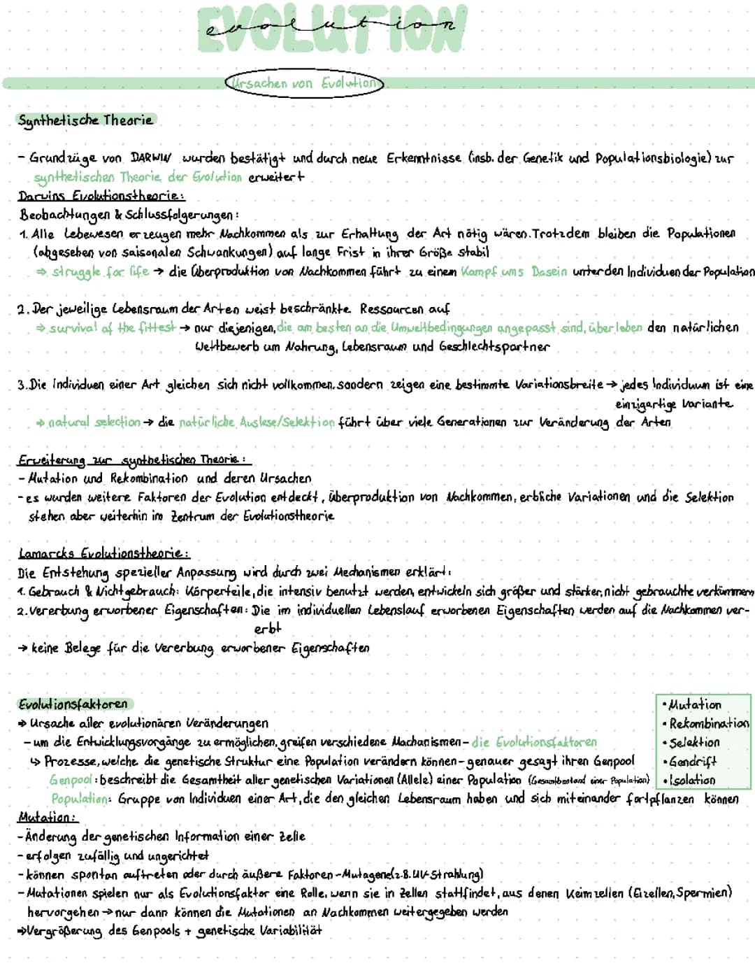 Evolution Zusammenfassung Abi22