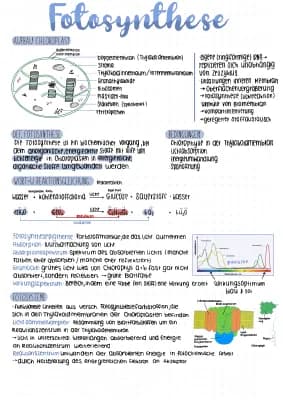 Know Fotosynthese, Chemosynthese thumbnail