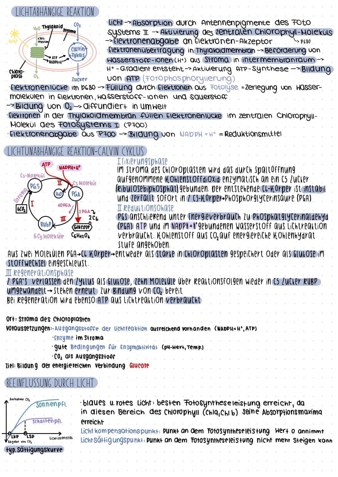 Fotosynthese
boppelmembran (Thylakoi amembran).
Stroma
-Thylokoid innenraum/intermembranraum
Granathylakoide
Ribosomen
Plastiden-DNA
AUFBAU 