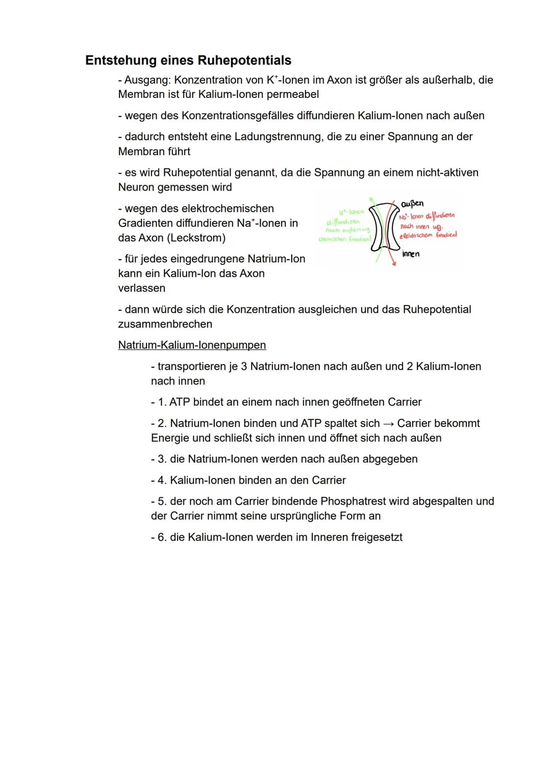 Biologie
eA
Semester 3
- Kommunikation in biologischen Systemen - Inhaltsverzeichnis
Neuronale Informationsverarbeitung..
Aufbau von Nervenz