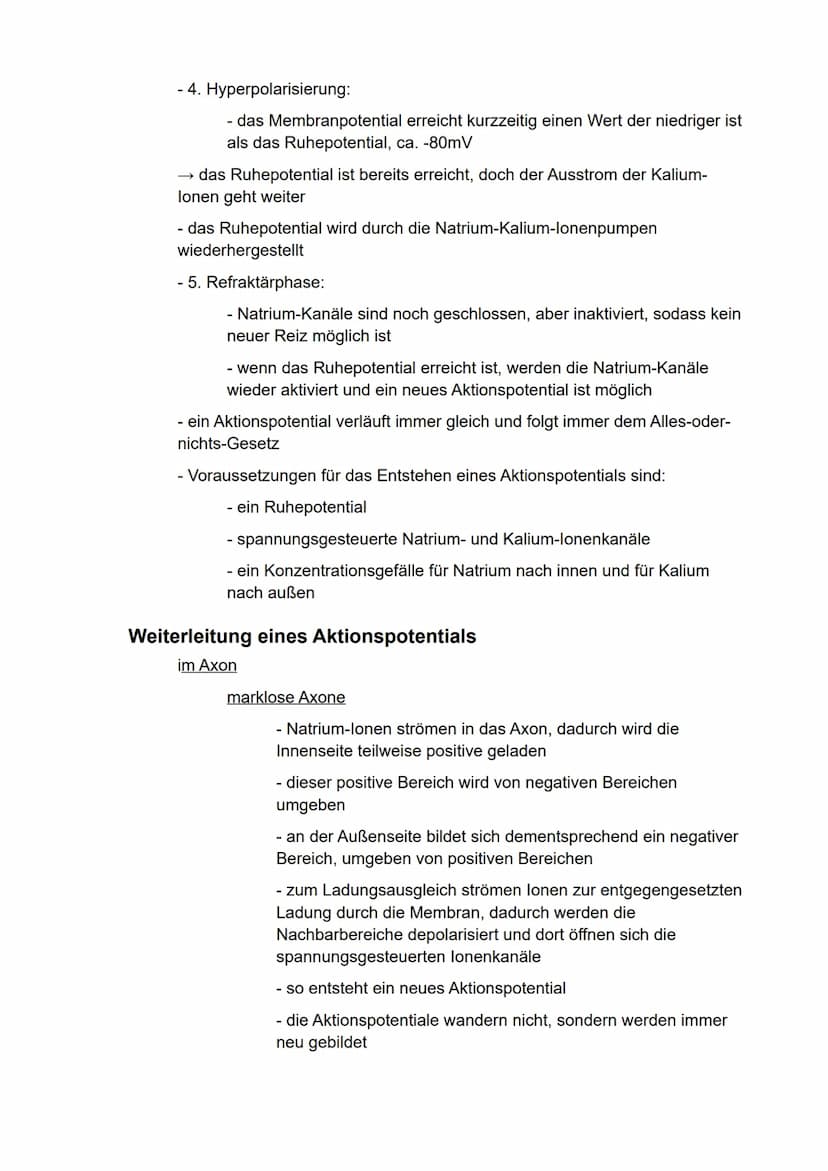 Biologie
eA
Semester 3
- Kommunikation in biologischen Systemen - Inhaltsverzeichnis
Neuronale Informationsverarbeitung..
Aufbau von Nervenz