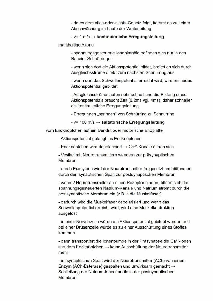 Biologie
eA
Semester 3
- Kommunikation in biologischen Systemen - Inhaltsverzeichnis
Neuronale Informationsverarbeitung..
Aufbau von Nervenz