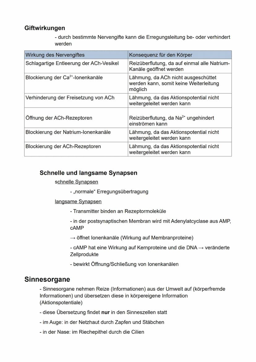 Biologie
eA
Semester 3
- Kommunikation in biologischen Systemen - Inhaltsverzeichnis
Neuronale Informationsverarbeitung..
Aufbau von Nervenz