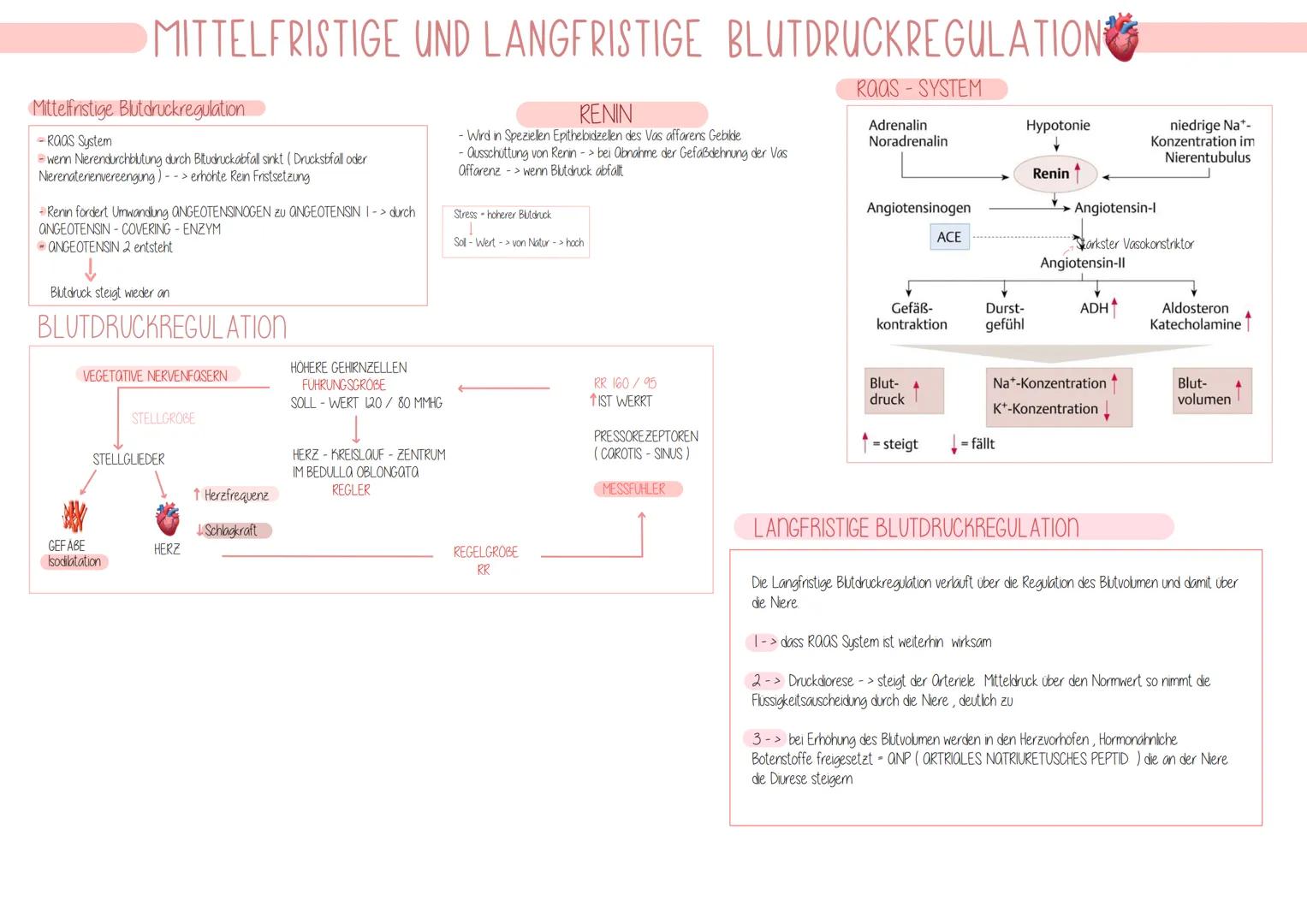 Herz-Kreislauf-
System Erregungsbildung & -leitung im Herz
-Herz schlägt autonom n Schrittmacherzellen (ca. 12) -
Muskelzellen
I wegen.
- Si