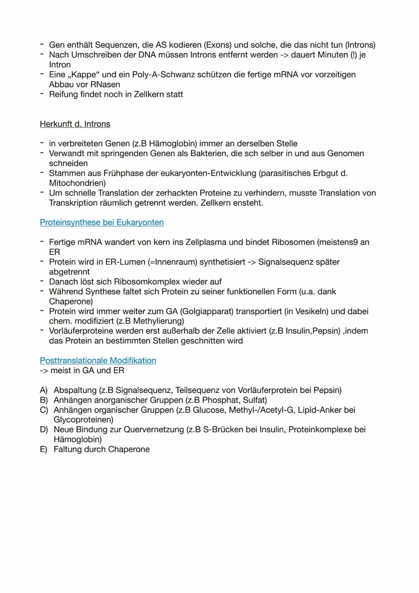 Biologie Klausur 11/2/ GENETIK
Molekulare Genetik
1. DNA - Das Erbgut
Informationsträger ist die Desoxyribo-Nuklein-Säure (engl. DNA)
Ausnah
