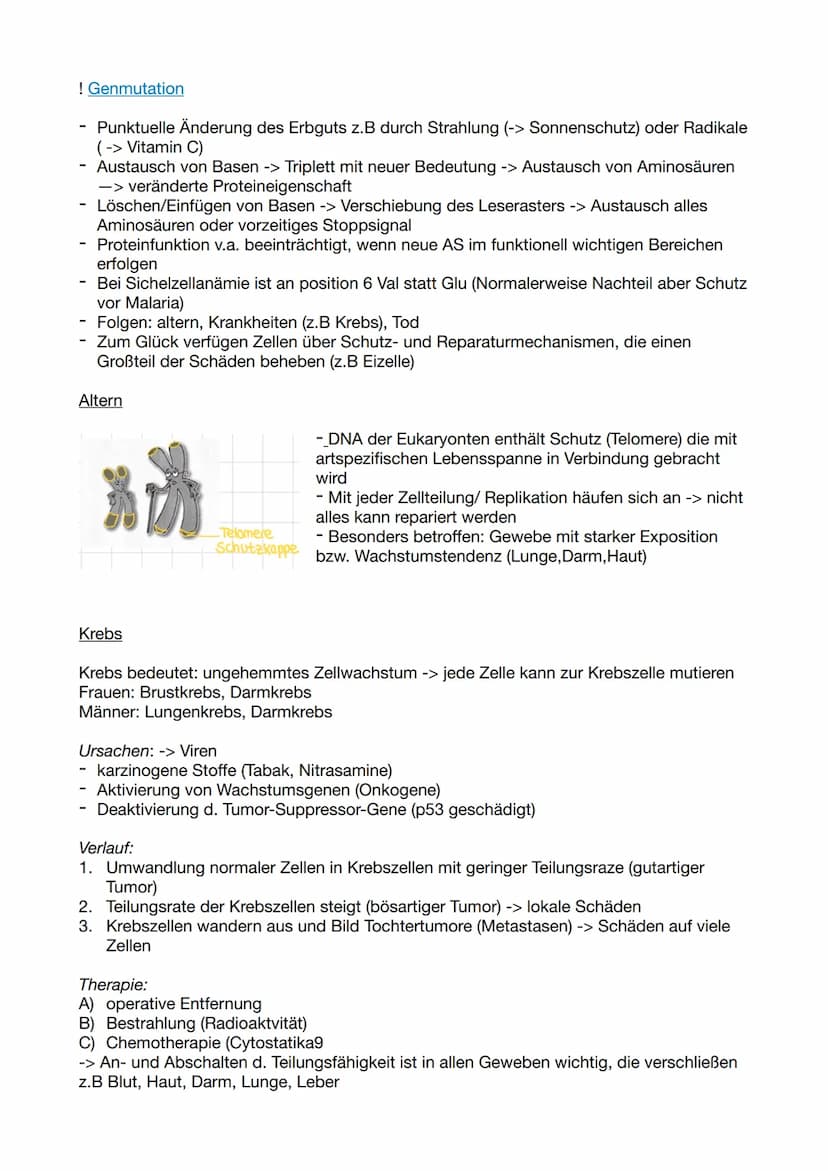 Biologie Klausur 11/2/ GENETIK
Molekulare Genetik
1. DNA - Das Erbgut
Informationsträger ist die Desoxyribo-Nuklein-Säure (engl. DNA)
Ausnah