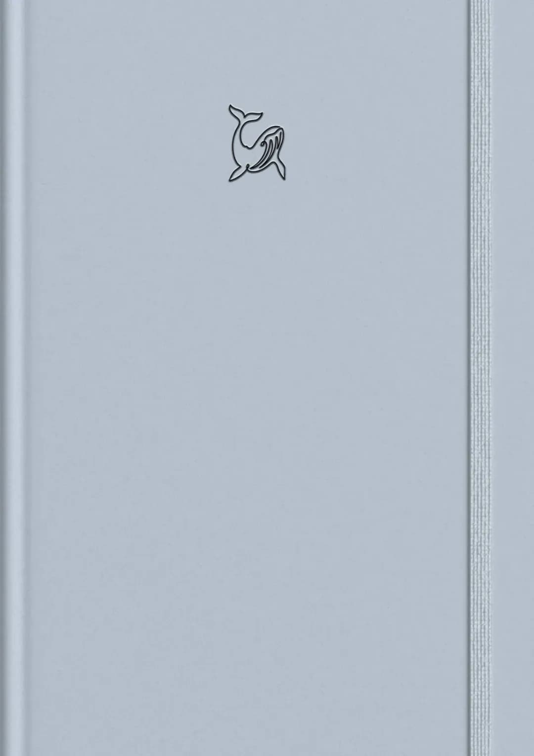 Lernzettel Enzymatik