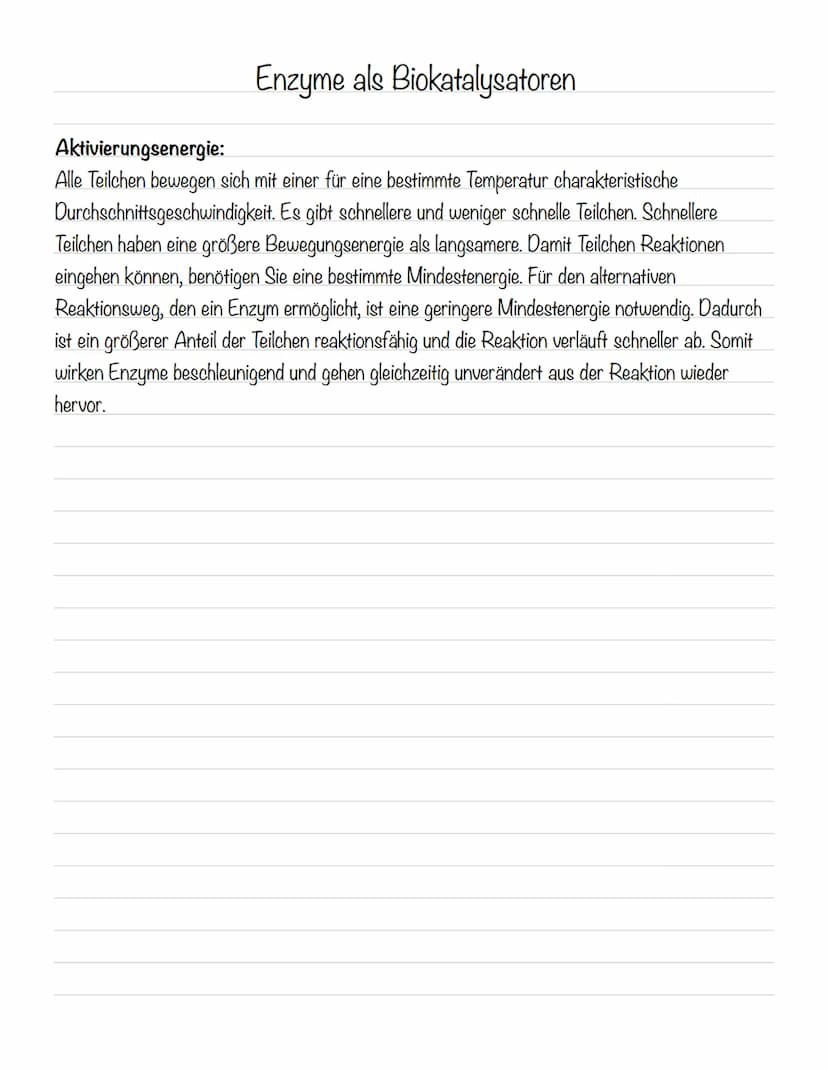 故 Molekulare Grundlagen
Atome:
- bestehen aus einem Atomkern (positiv geladen) und einer Atomhülle (negativ geladen)
- kommen meist als Best