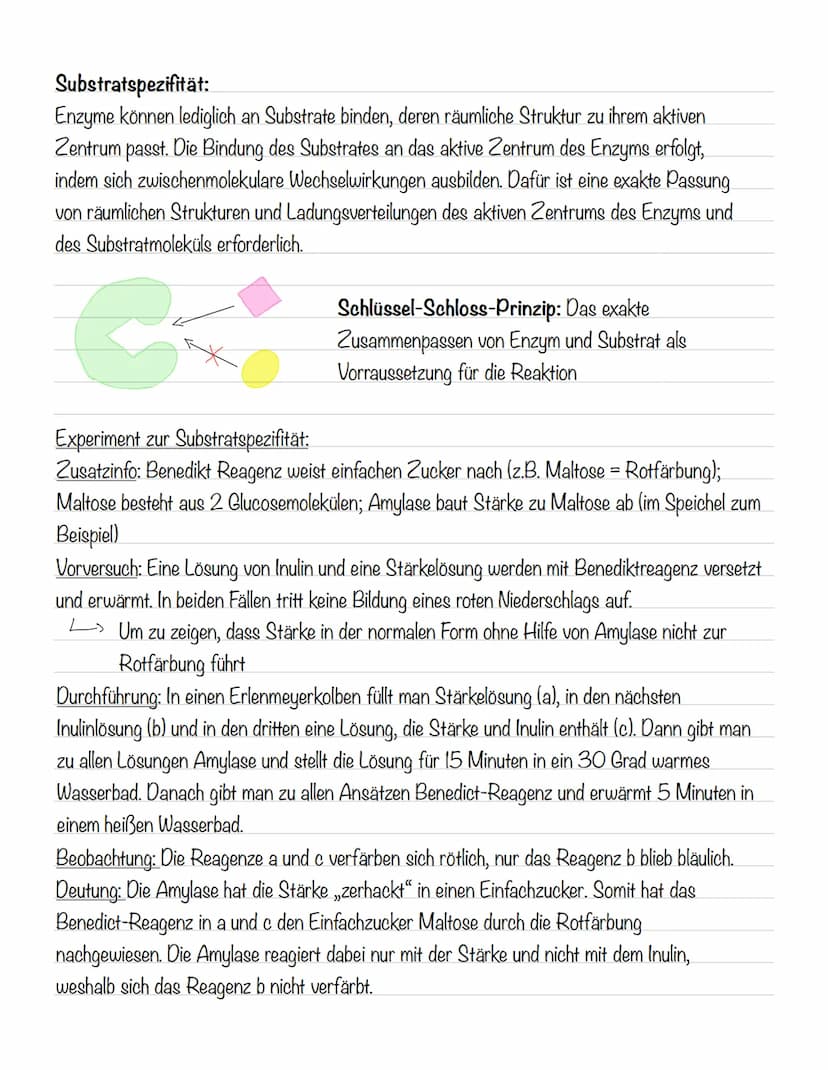 故 Molekulare Grundlagen
Atome:
- bestehen aus einem Atomkern (positiv geladen) und einer Atomhülle (negativ geladen)
- kommen meist als Best