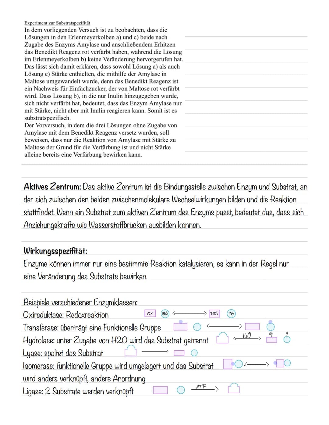 故 Molekulare Grundlagen
Atome:
- bestehen aus einem Atomkern (positiv geladen) und einer Atomhülle (negativ geladen)
- kommen meist als Best