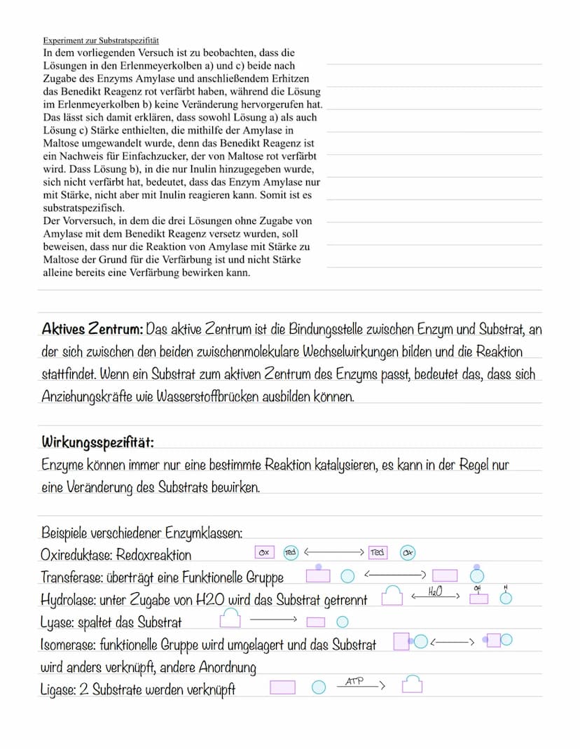 故 Molekulare Grundlagen
Atome:
- bestehen aus einem Atomkern (positiv geladen) und einer Atomhülle (negativ geladen)
- kommen meist als Best
