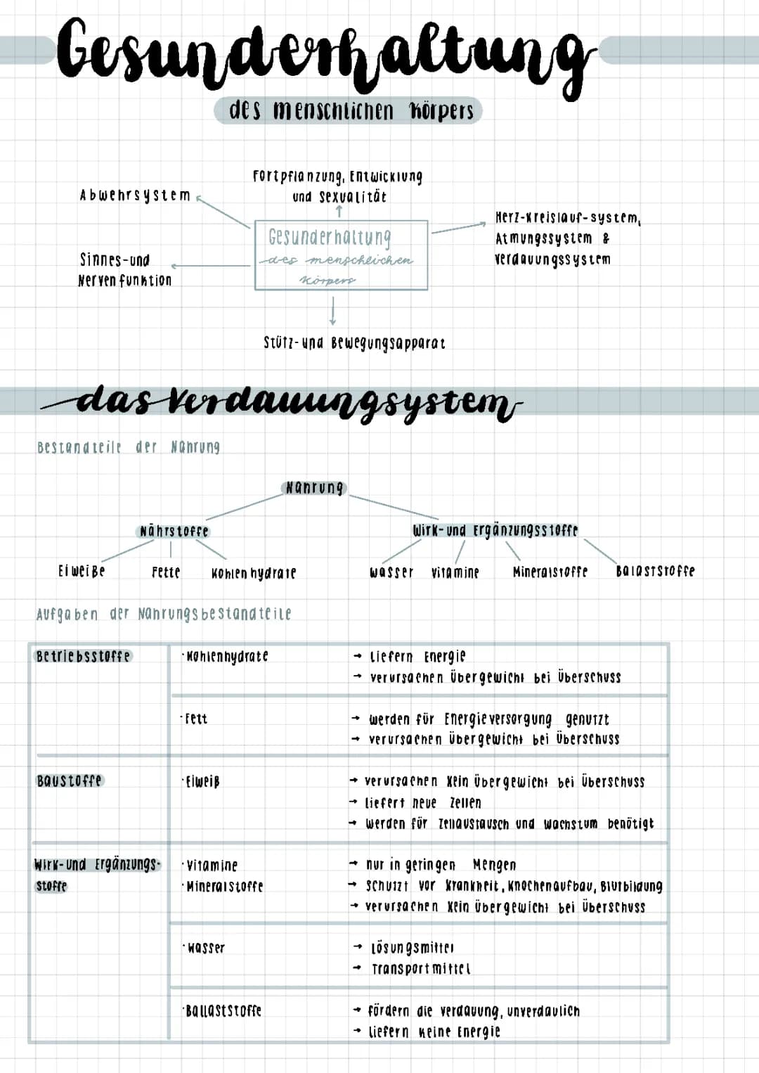 Verdauungssystem 