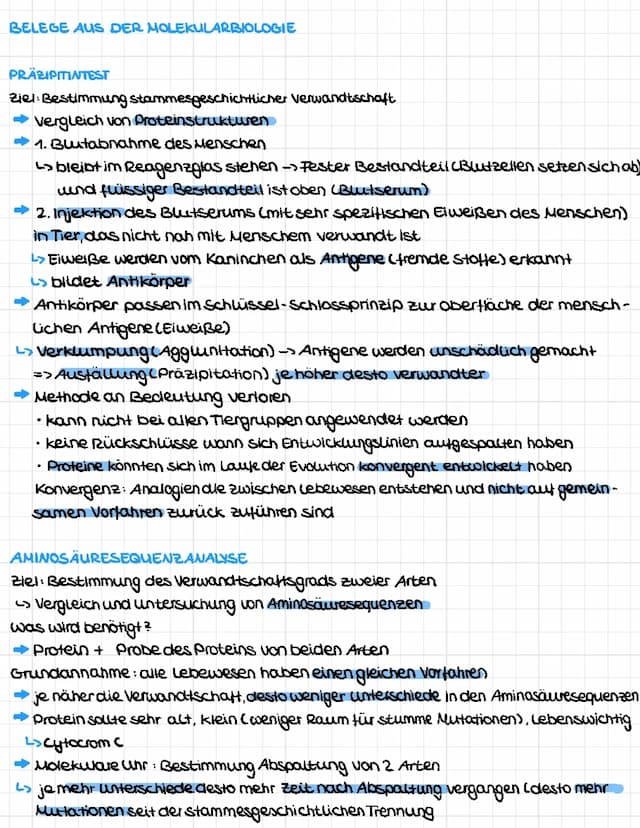 Know Verwantschaftsnachweise der Molekularbiologie thumbnail