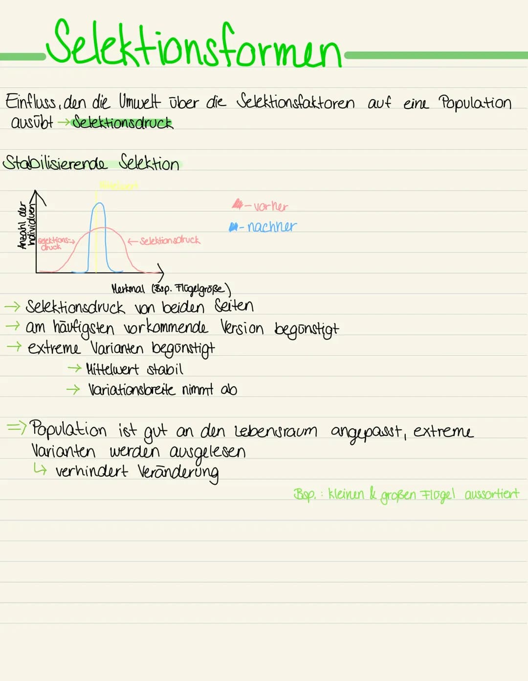 Richtende | transformierende Selektion
Anzahl der
Individuen
Selektionsformen.
Selektions
druck
Herkmal (Bsp. Laufgeschwindigkeit)
Selektion