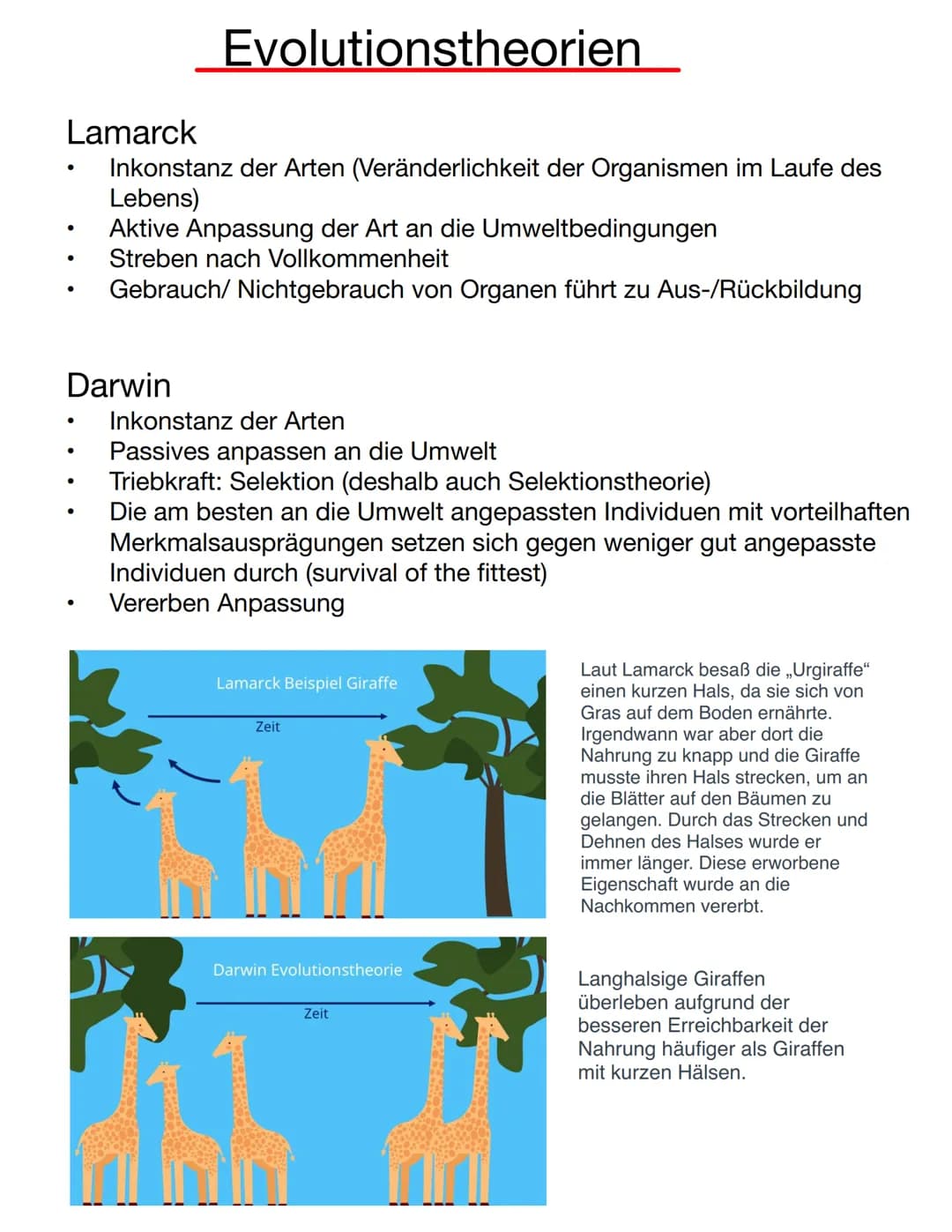 Lamarck
Inkonstanz der Arten (Veränderlichkeit der Organismen im Laufe des
Lebens)
Aktive Anpassung der Art an die Umweltbedingungen
Streben