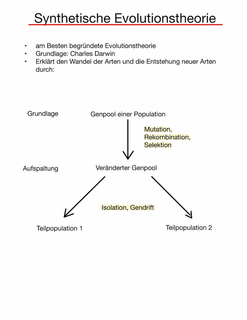 Lamarck
Inkonstanz der Arten (Veränderlichkeit der Organismen im Laufe des
Lebens)
Aktive Anpassung der Art an die Umweltbedingungen
Streben